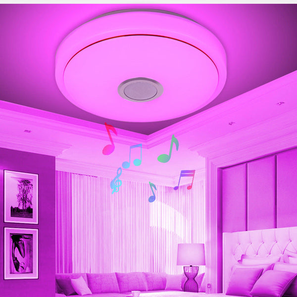Tuya Wifi Smart Ceiling Light